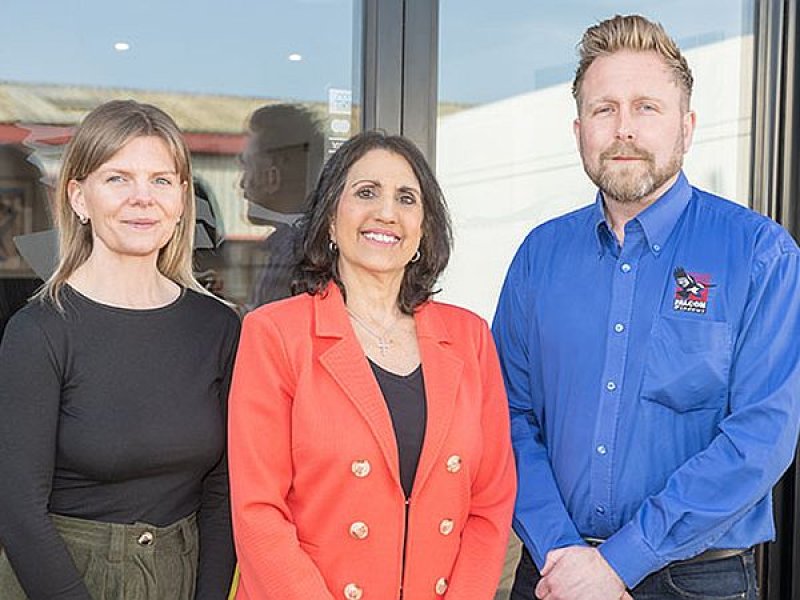 Falcon Windows